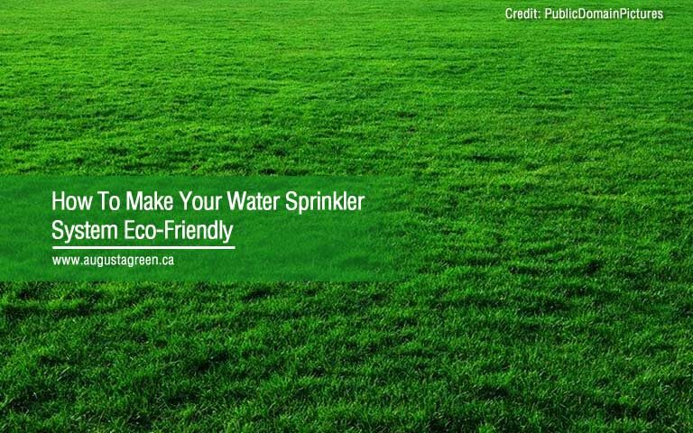 water sprinkler system