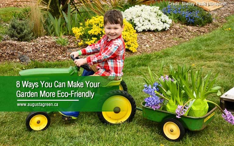 make your garden eco friendly