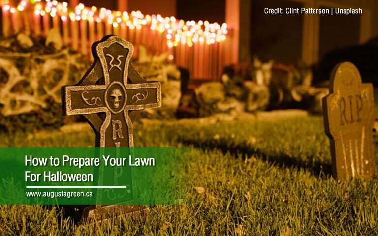 prepare lawn for halloween