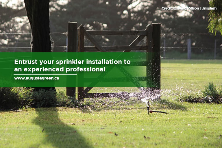 Entrust your sprinkler installation to an experienced professional