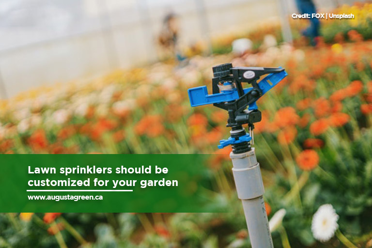 Lawn sprinklers should be customized for your garden