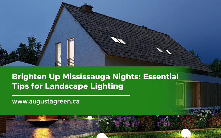 Brighten Up Mississauga Nights: Essential Tips for Landscape Lighting
