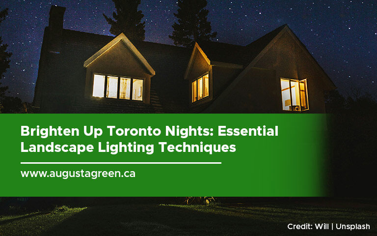Brighten Up Toronto Nights: Essential Landscape Lighting Techniques