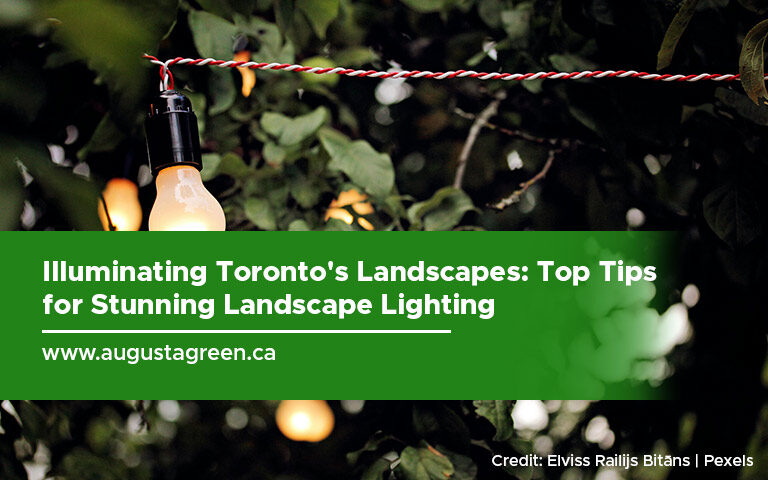 Illuminating-Toronto's-Landscapes-Top-Tips-for-Stunning-Landscape-Lighting