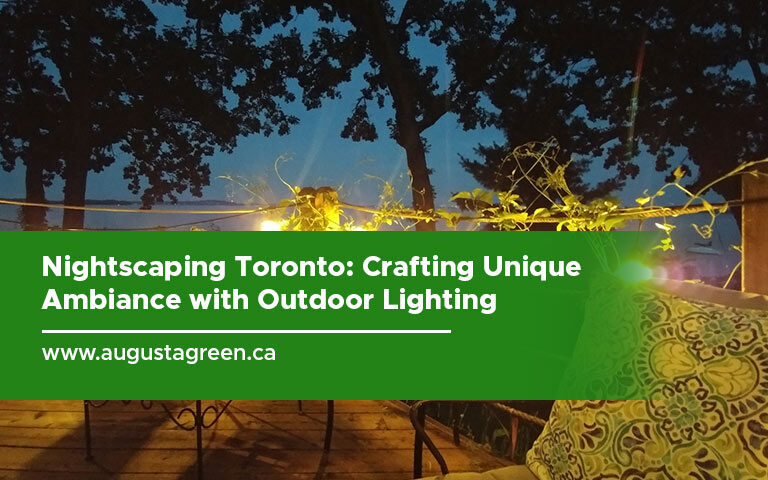 Nightscaping Toronto: Crafting Unique Ambiance with Outdoor Lighting